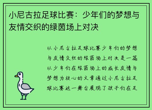 小尼古拉足球比赛：少年们的梦想与友情交织的绿茵场上对决