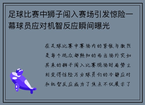 足球比赛中狮子闯入赛场引发惊险一幕球员应对机智反应瞬间曝光