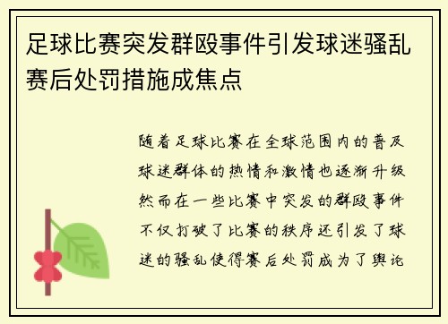足球比赛突发群殴事件引发球迷骚乱赛后处罚措施成焦点