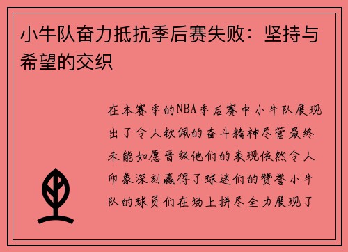 小牛队奋力抵抗季后赛失败：坚持与希望的交织
