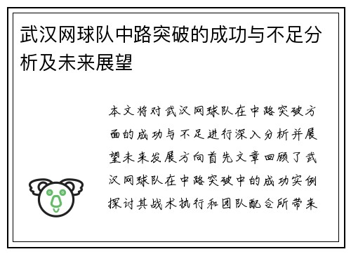 武汉网球队中路突破的成功与不足分析及未来展望