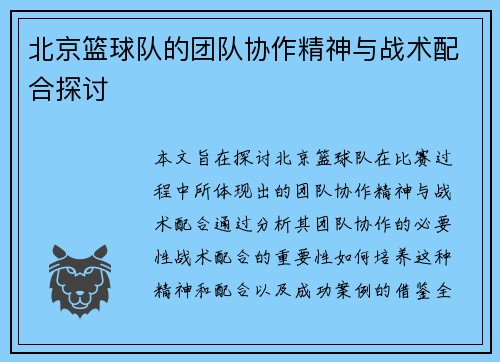 北京篮球队的团队协作精神与战术配合探讨